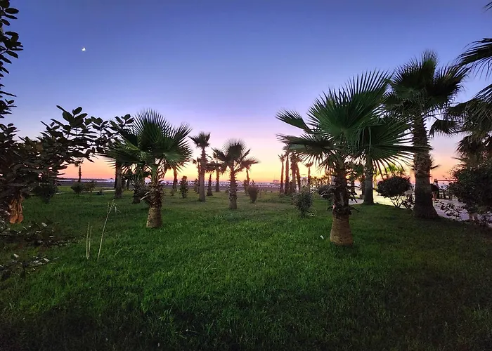 Seaside Bliss In Qerret Beach